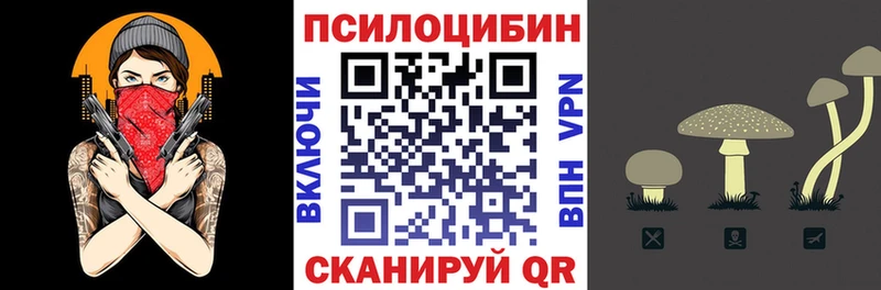 Псилоцибиновые грибы Cubensis Борзя